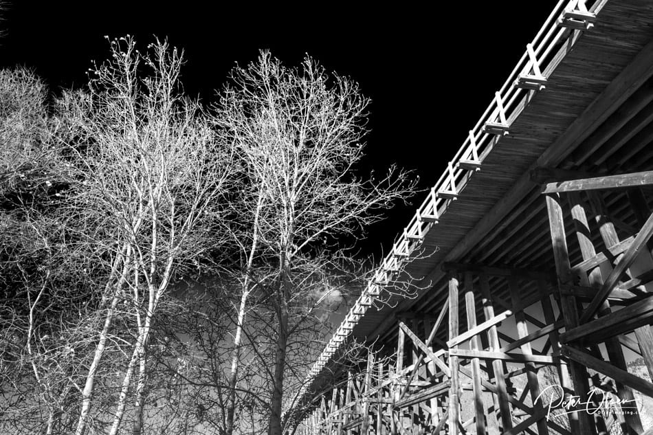Kamloops black and white photo of dark sky and view of under the bridge with trees