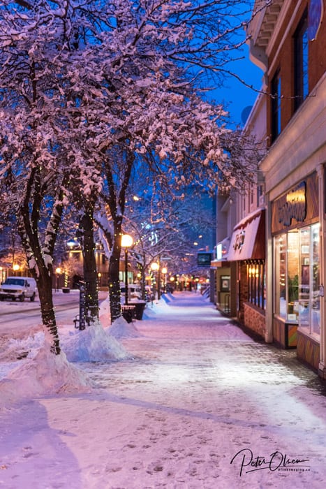 Kamloops City snow-covered ground with frosty trees and buildings