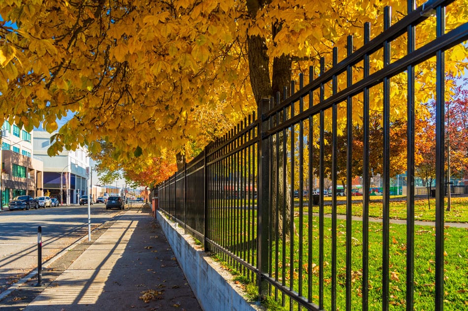 Kamloops City iron gates with yellow trees and sidewalk