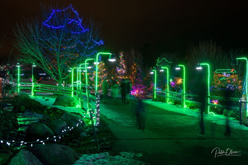 neon Christmas lights with people and walkway