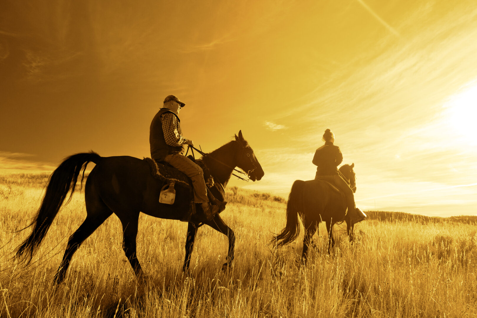 Kamloops rural life people riding horses into the sunset sepia color