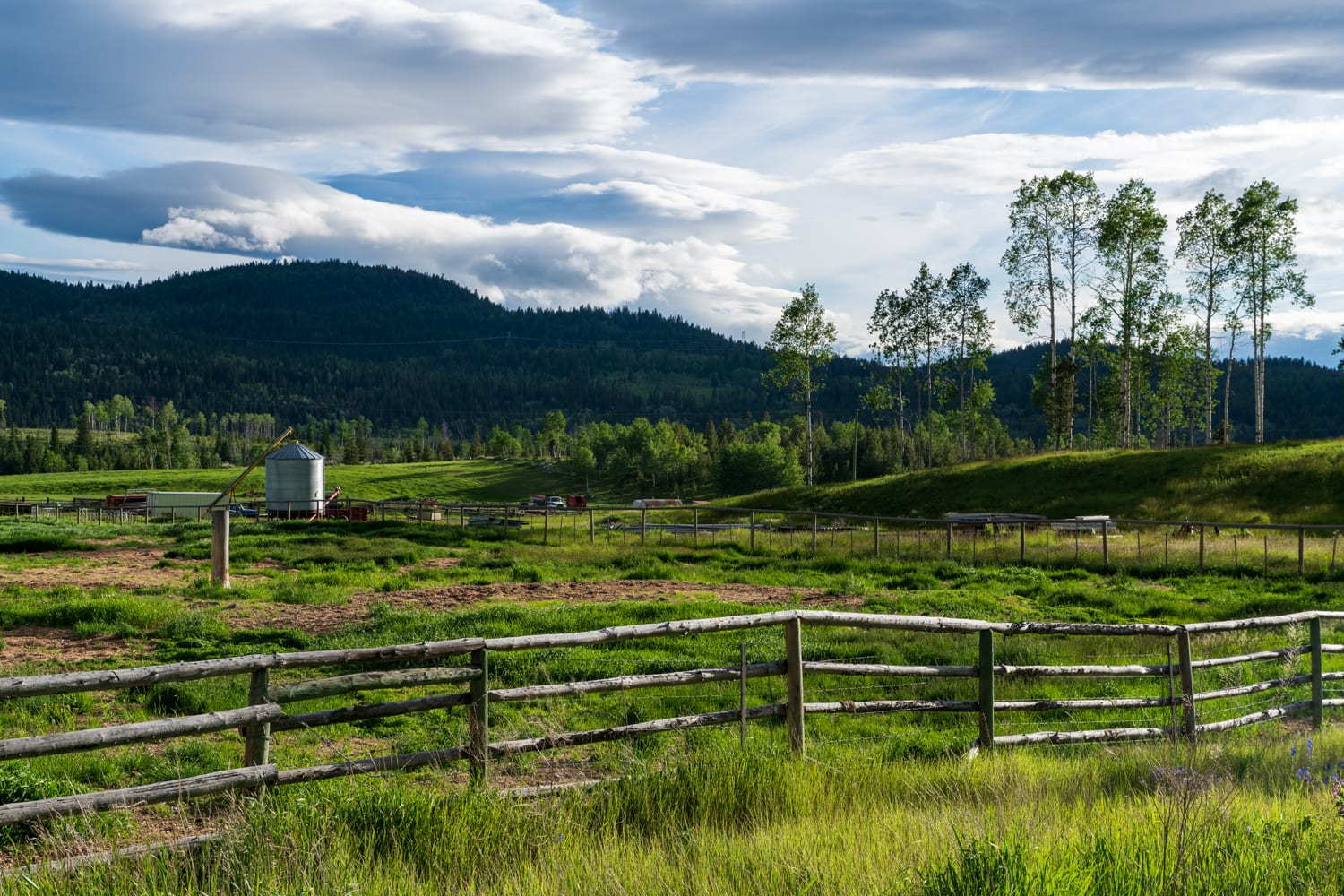 Kamloops rural life tall grass with wooden fence and equipment with mountain