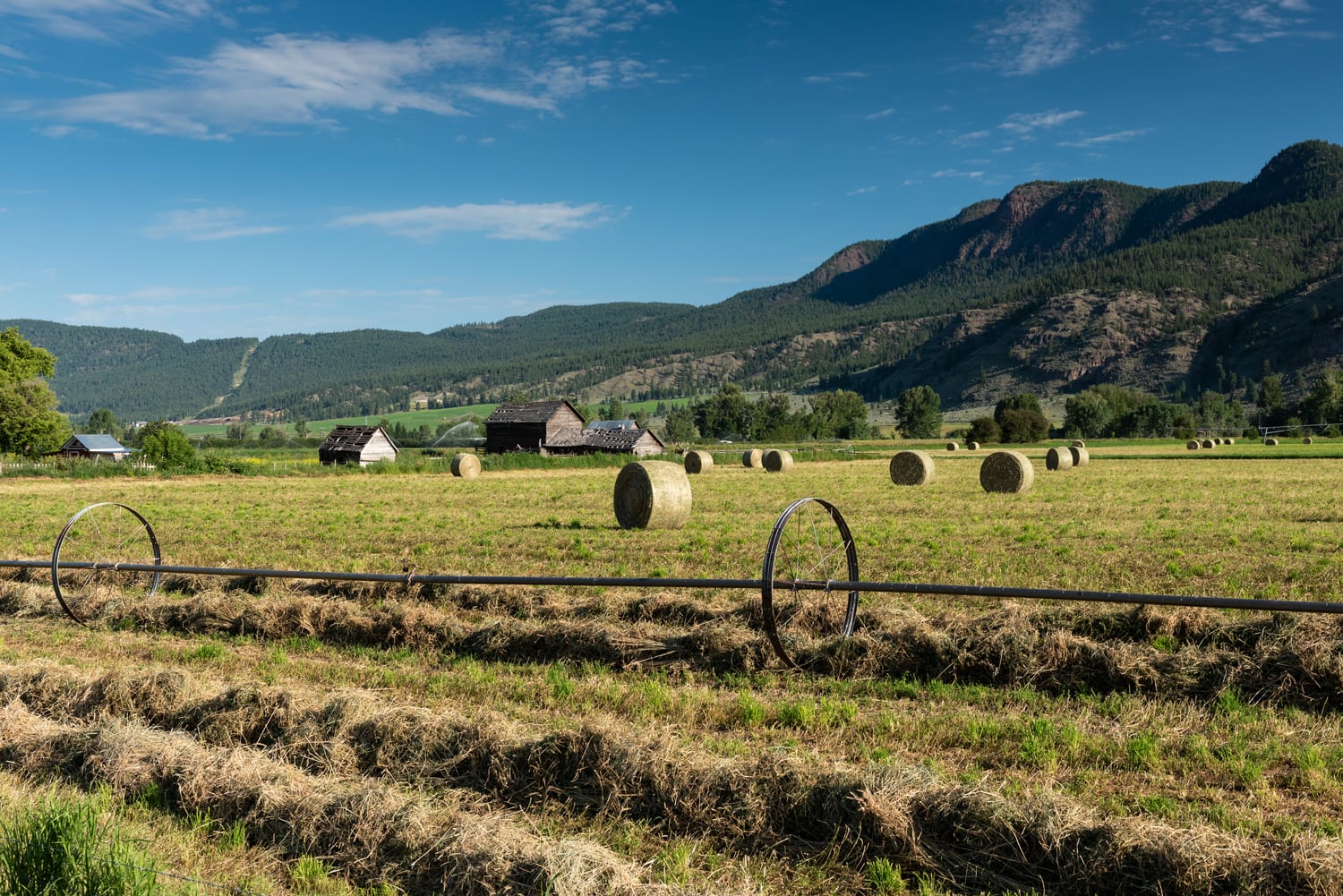 Kamloops rural life closeup of hay bales and fields with farmhouses