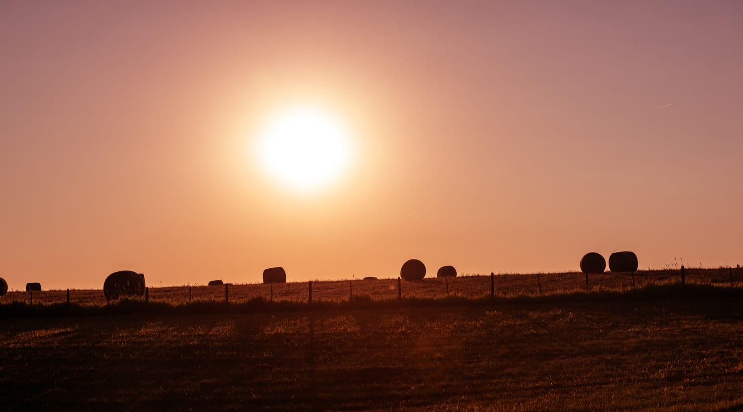 Kamloops rural life fields with animal and hay with pink sky with sun