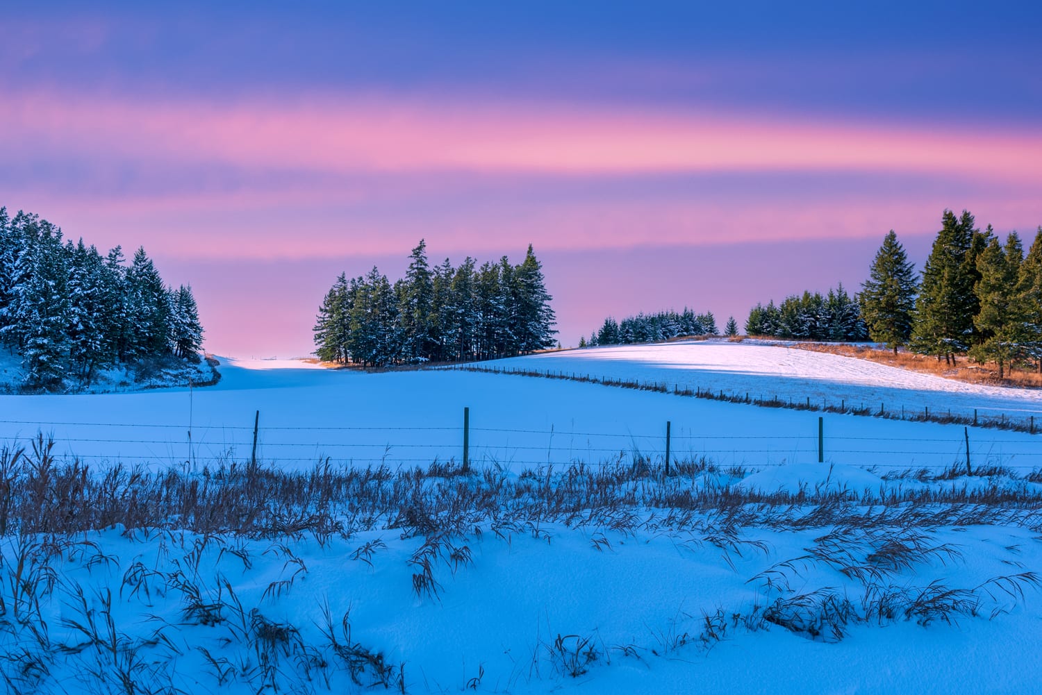 Kamloops rural life snowy plains with grass and trees with pink and blue sky