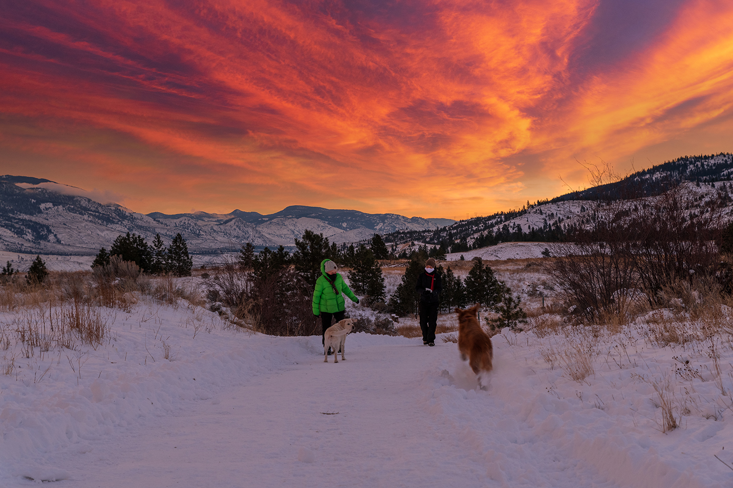 Kamloops Other person walking two dogs in the snow with a mountain sunset