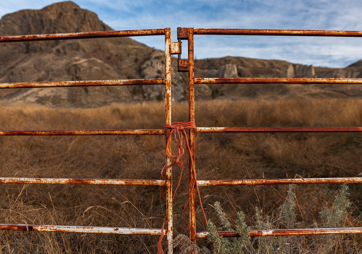 Kamloops rural life rusted fence tied with rope with grass and mountain in background