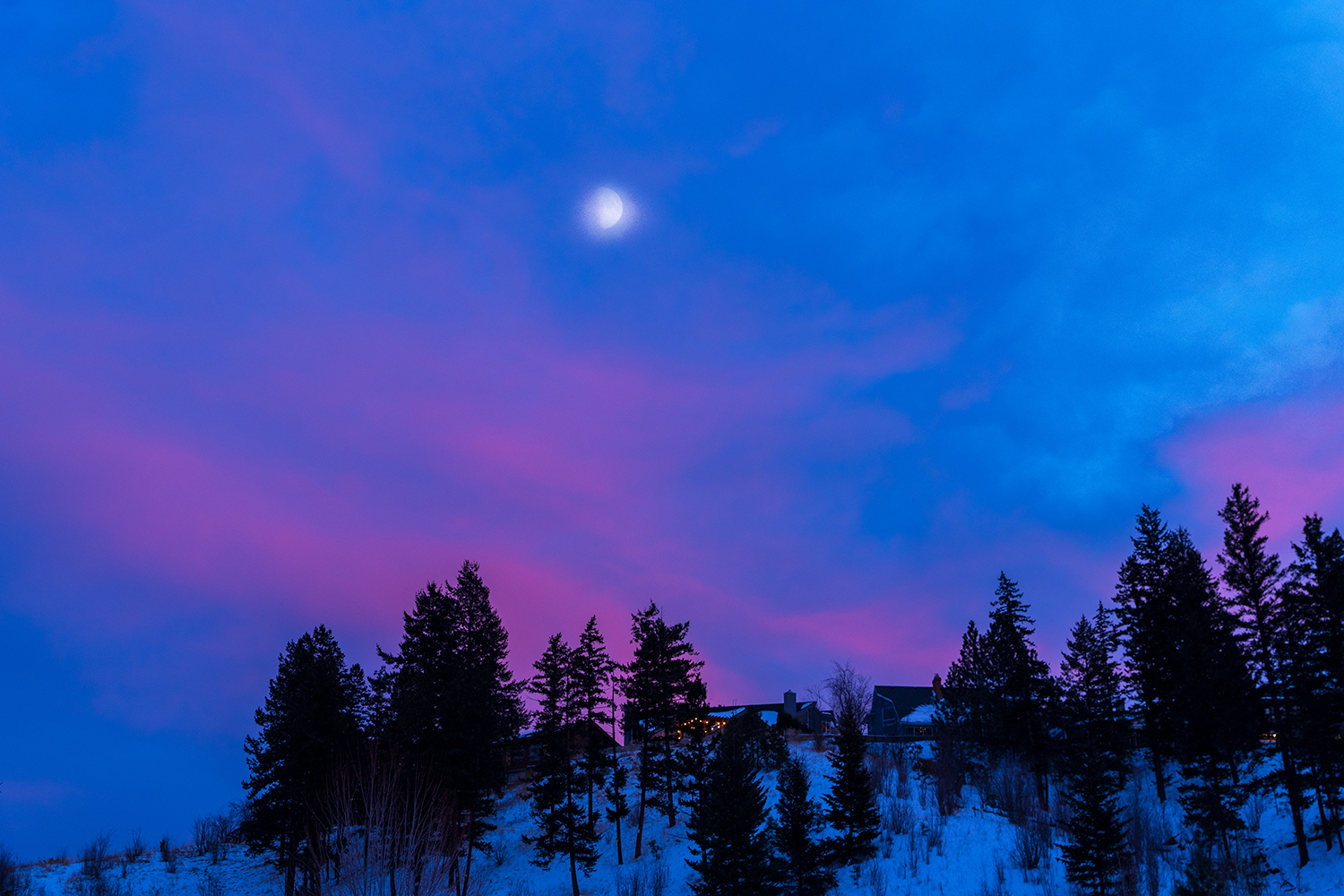 Kamloops Landscape bright blue purple and pink sky with full moon and trees