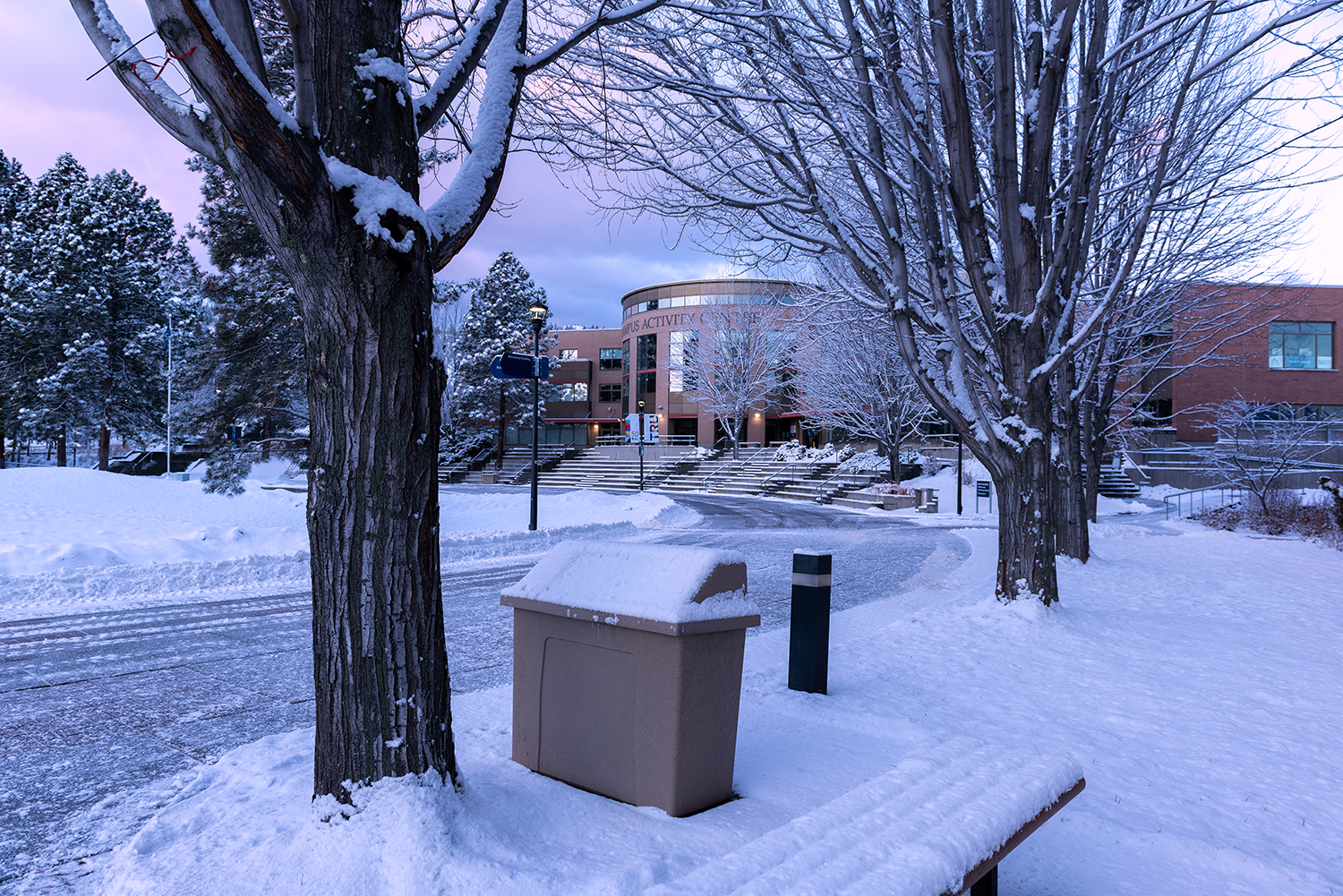 Kamloops Cityscape snow with bare trees and trash bins