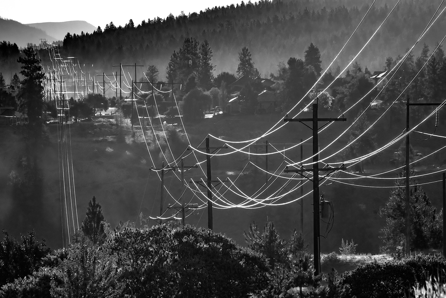 Kamloops grayscale telephone lines with long wires and tall tree forests