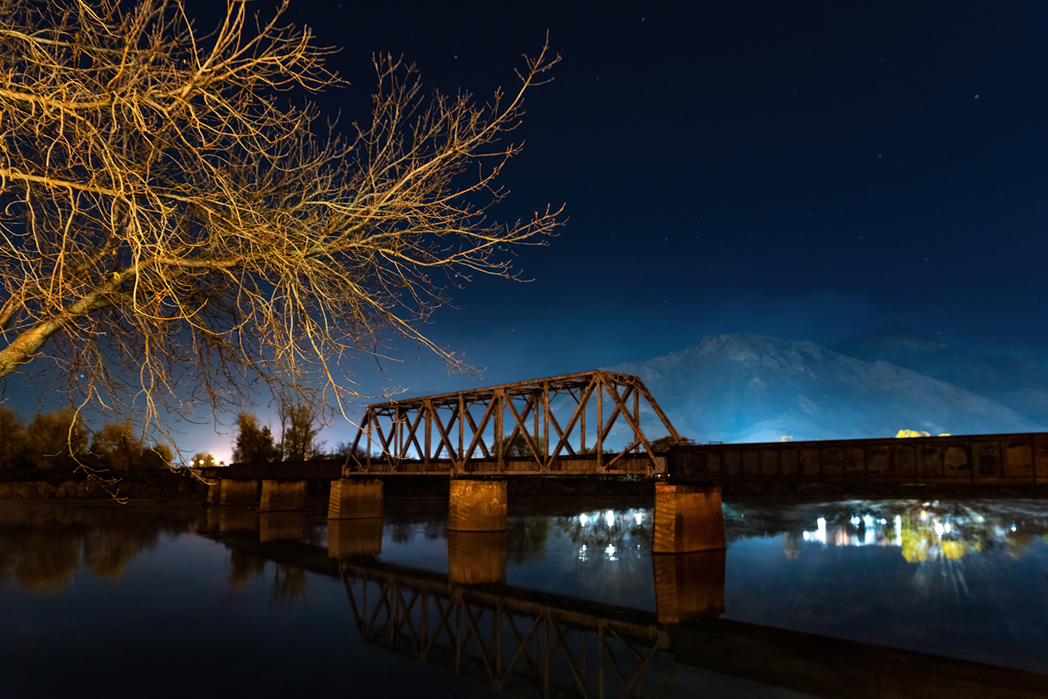 panoramic night view with tree and bridge over lake