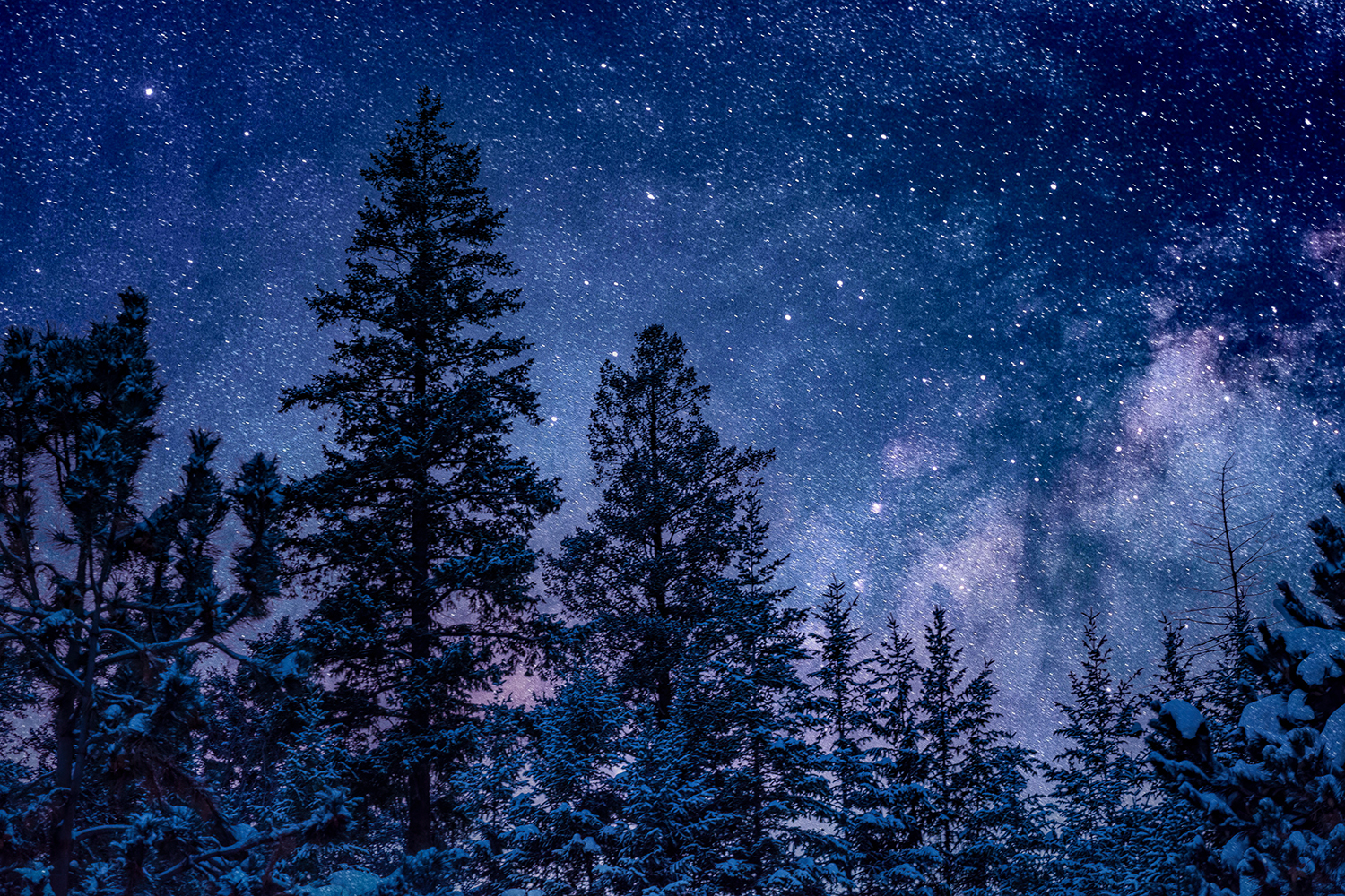 Kamloops Landscape night sky with trees and stars with galaxy view
