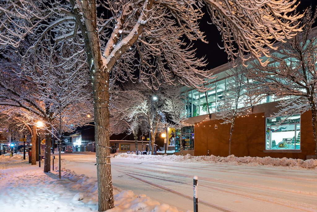 Street covered with snow along with tree and night lights