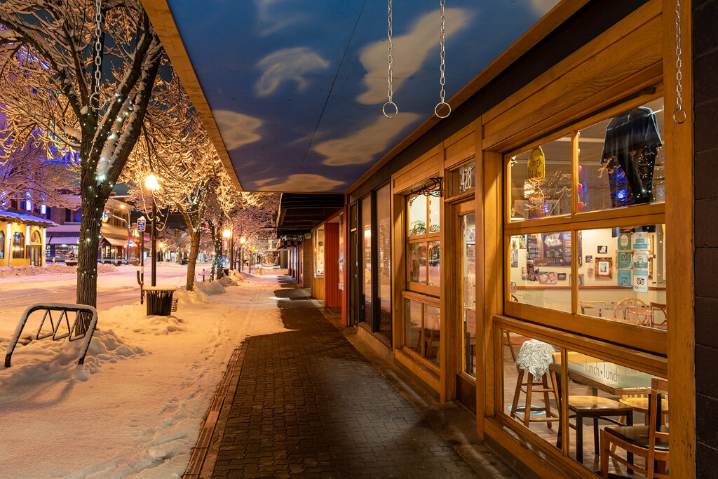 Stores at the street with trees and light covered with snow