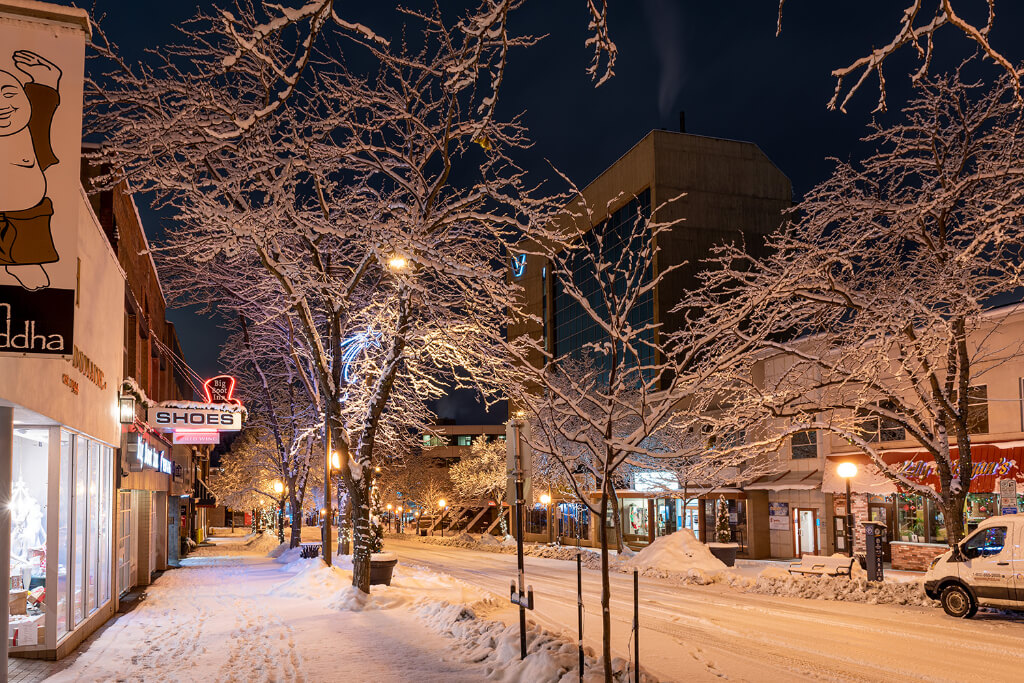 A street view with stores trees and night lights covered with snow