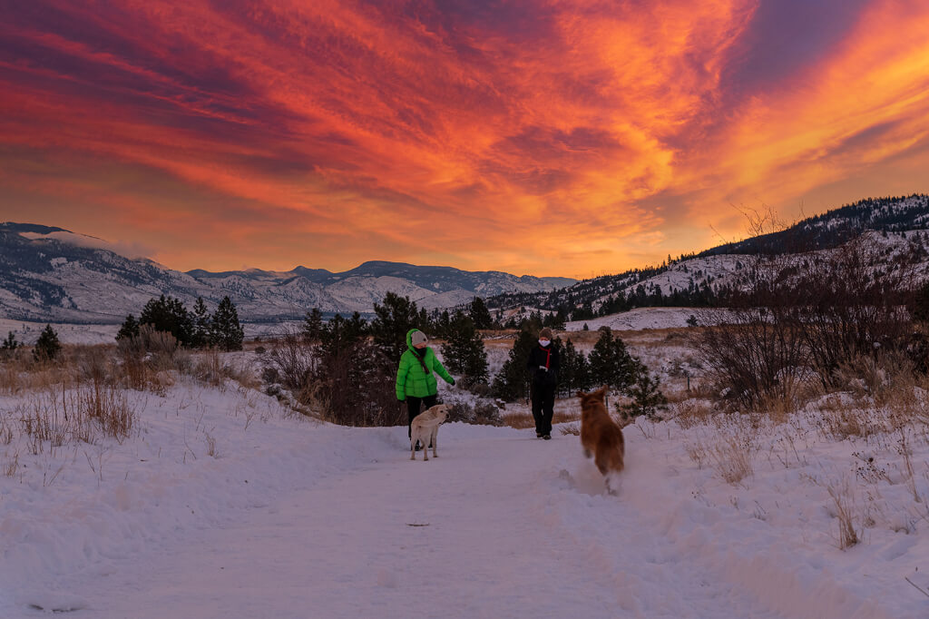Person walking two dogs in the snow with a mountain sunset