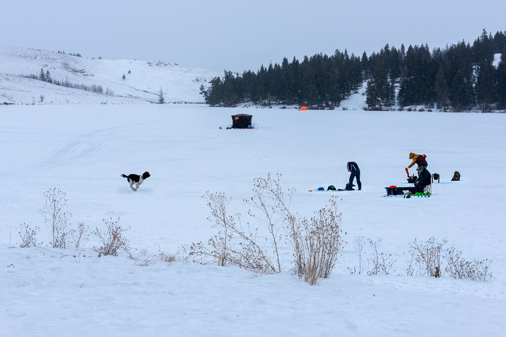 People playing with a dog in a snow