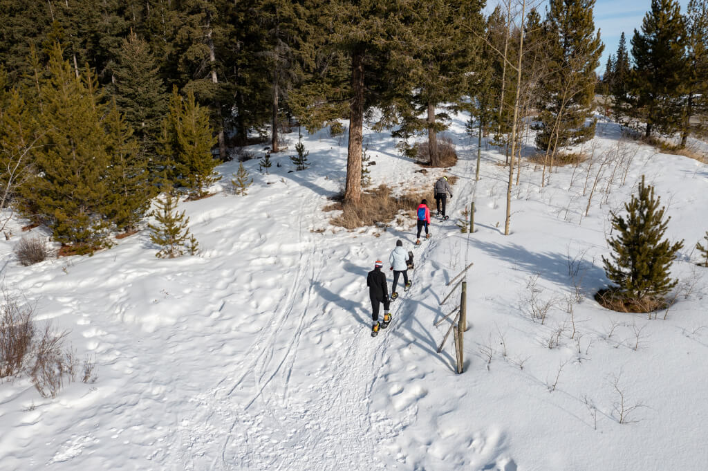 People walking in line on a snow covered mountain