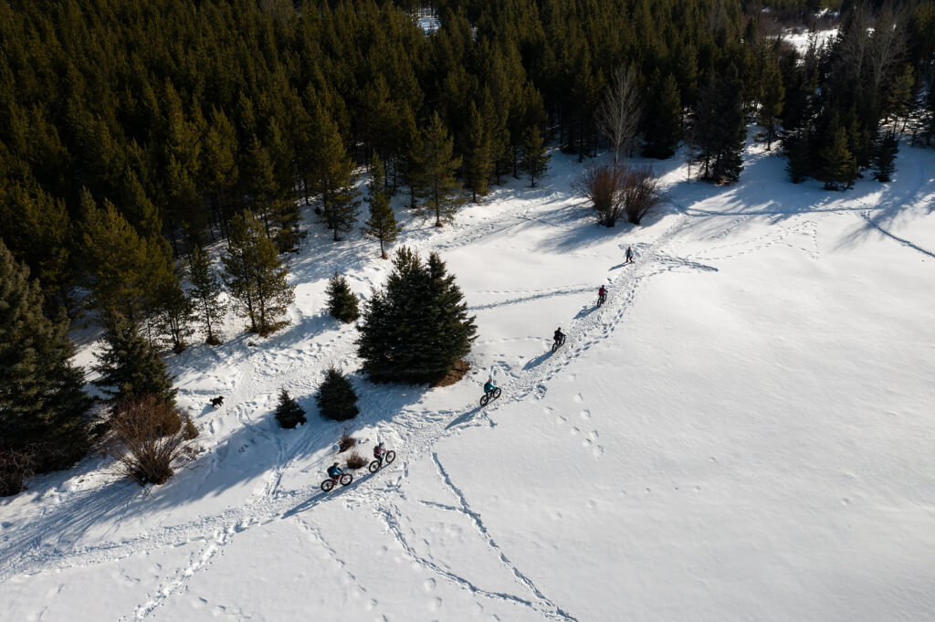 People cycling in the snow lined up along with a forest