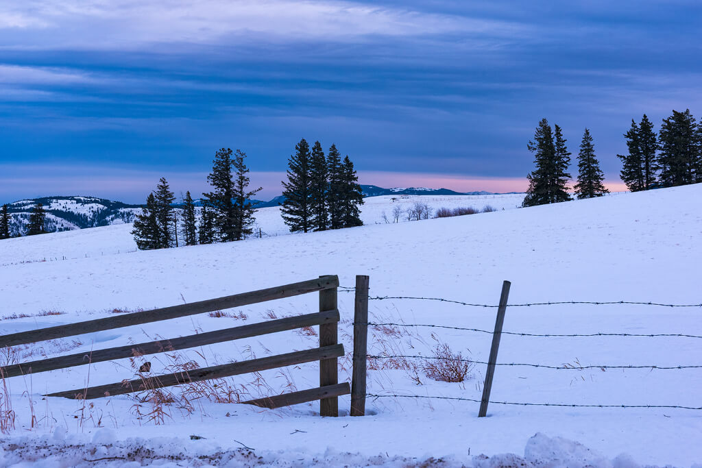 Wooden fences and barbed wire with trees and snow