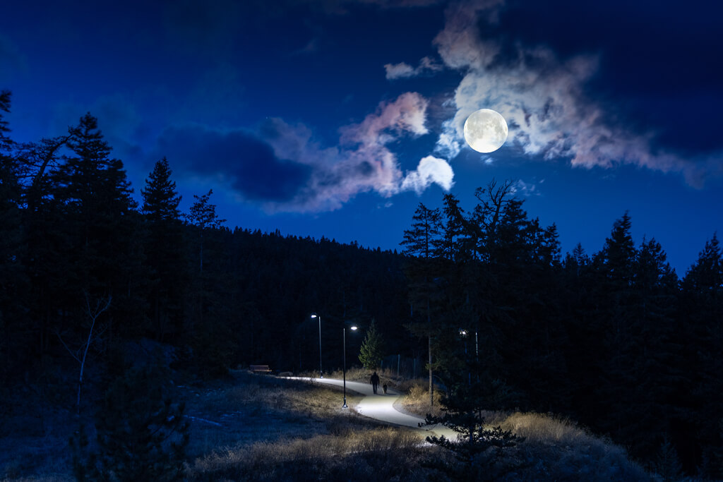 A man walking with his dog in a night with a full moon in sky